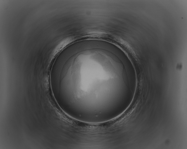 X0000095681362200801151116