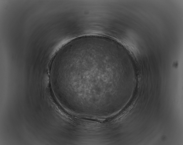 X0000095681363200801151116