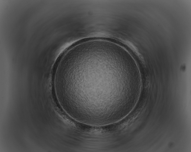 X0000095681364200801151116