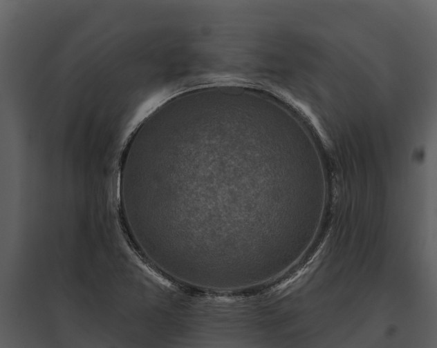 X0000095681365200801151116