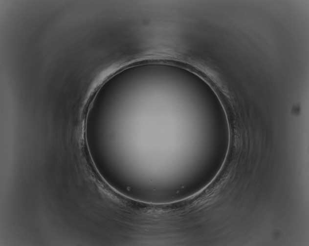 X0000095681366200801151116