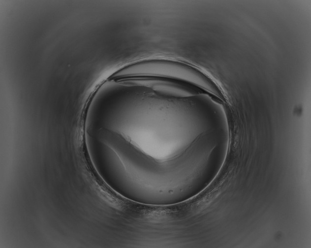 X0000095681367200801151116