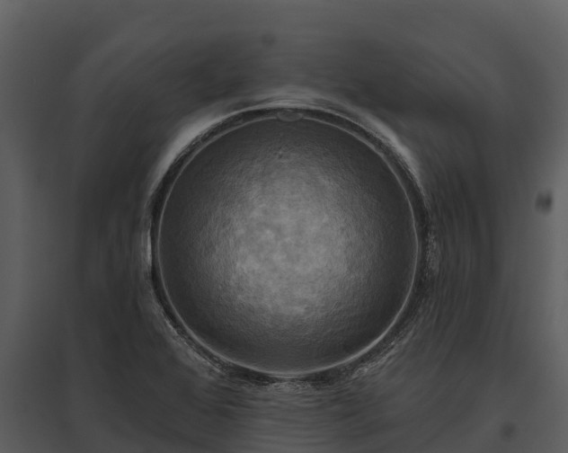 X0000095681368200801151116