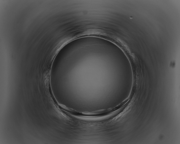 X0000095681369200801151116