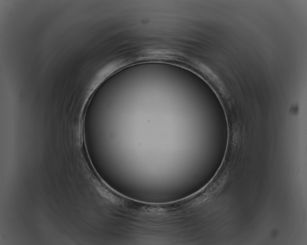 X0000095681370200801151116