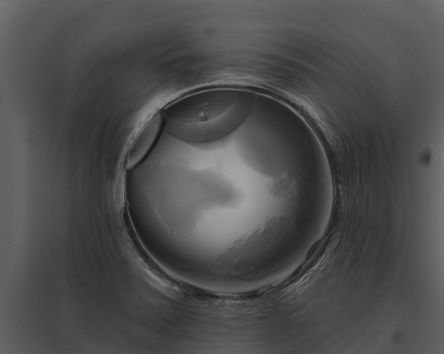X0000095681371200801151116