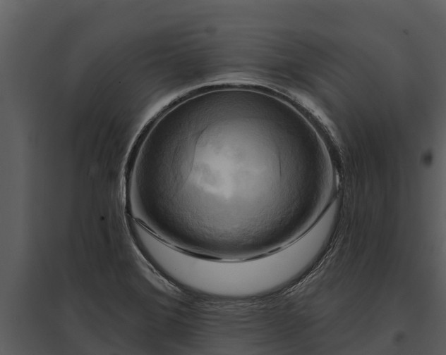 X0000095681372200801151116