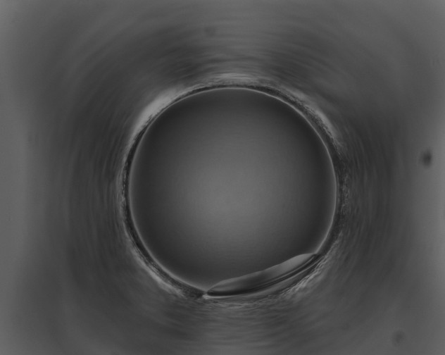 X0000095681373200801151116