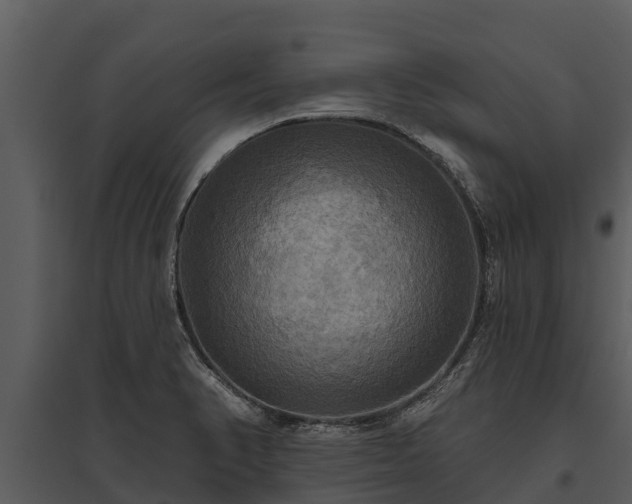X0000095681374200801151116