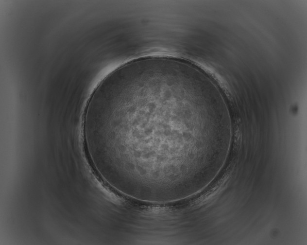X0000095681375200801151116
