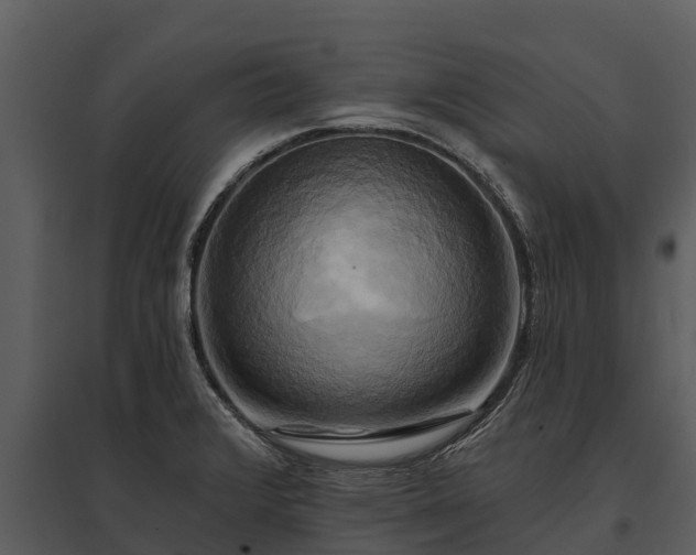 X0000095681376200801151116