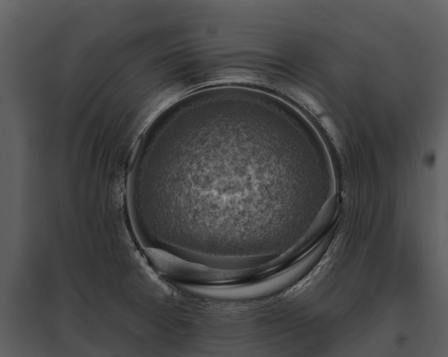 X0000095681377200801151116