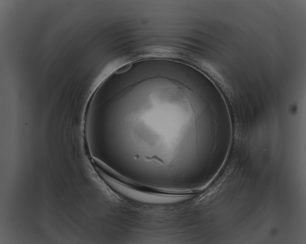 X0000095681378200801151116