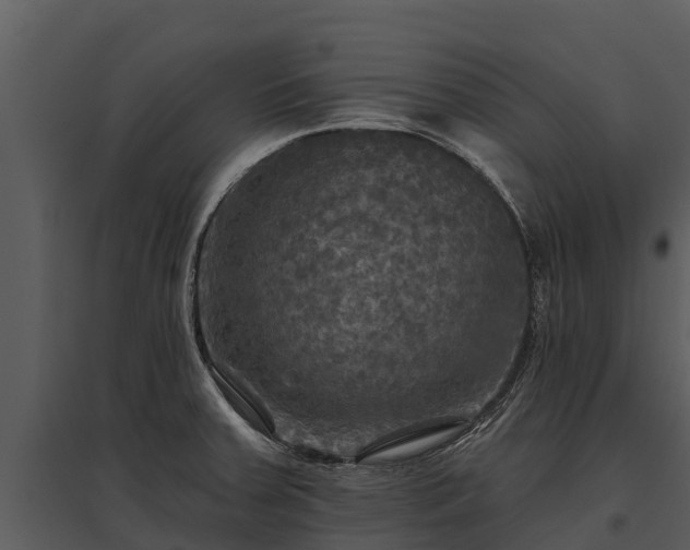 X0000095681379200801151116