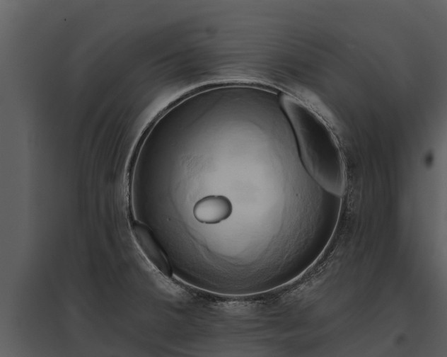 X0000095681380200801151116