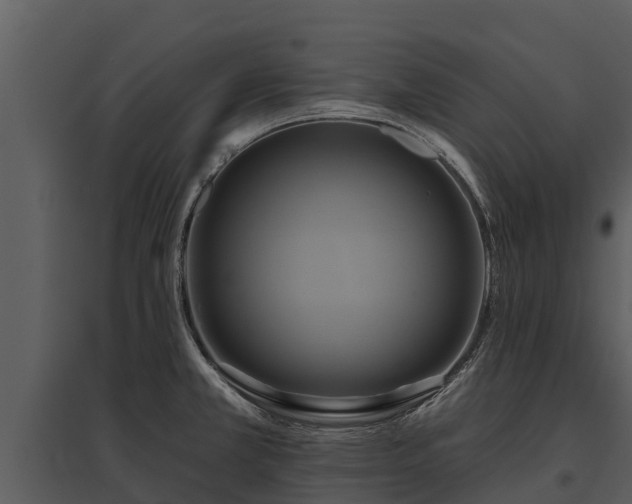 X0000095681381200801151116