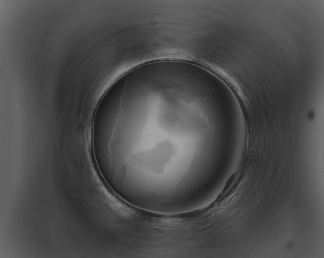 X0000095681383200801151116