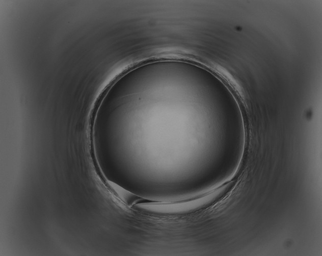 X0000095681384200801151116