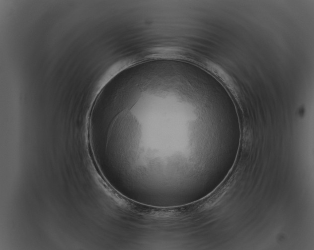 X0000095681386200801151116