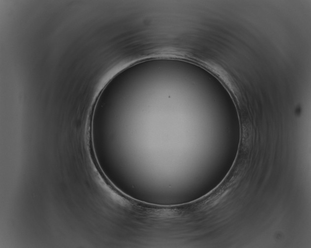X0000095681387200801151116