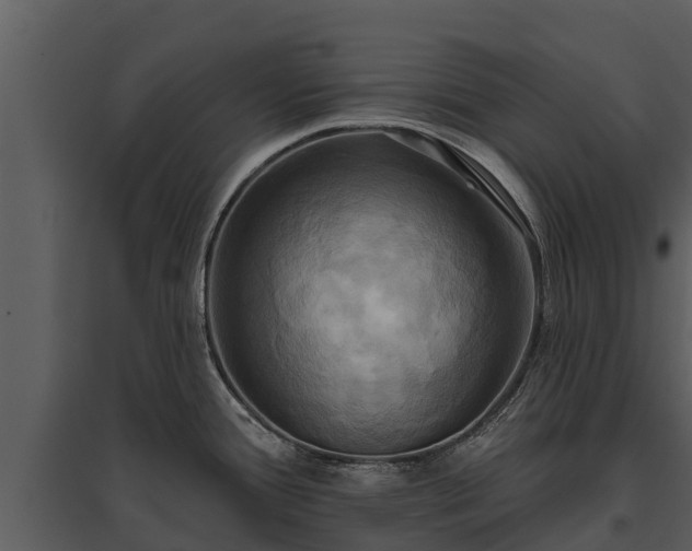 X0000095681388200801151116