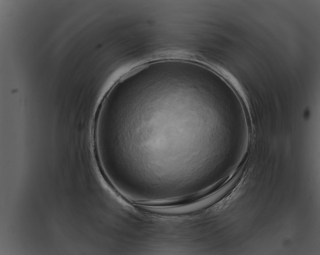 X0000095681389200801151116