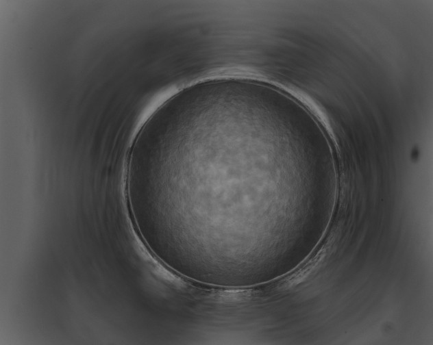 X0000095681390200801151116