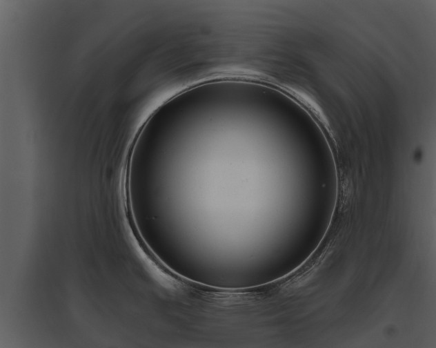 X0000095681391200801151116