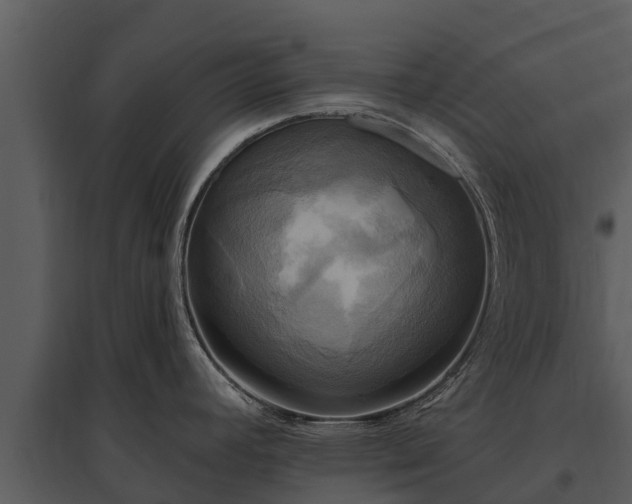 X0000095681392200801151116