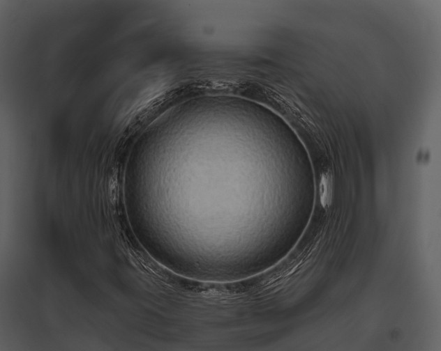 X0000095681395200801151115