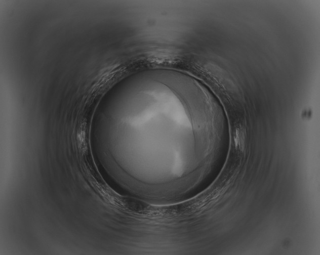 X0000095681396200801151115