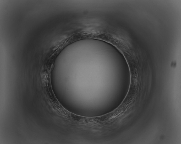 X0000095681397200801151115