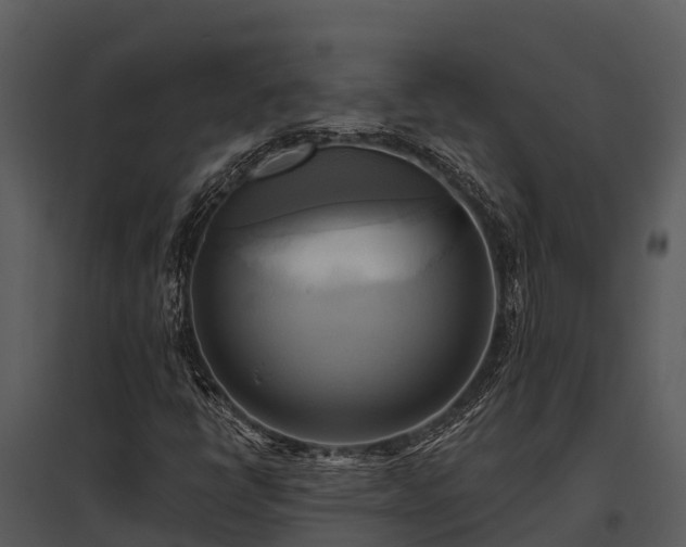 X0000095681398200801151115