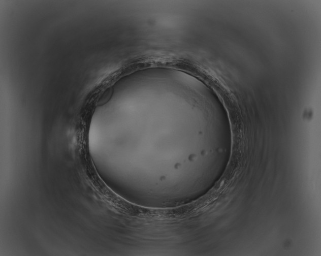 X0000095681399200801151115