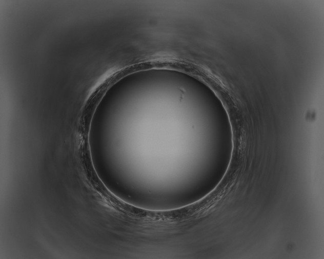 X0000095681400200801151115