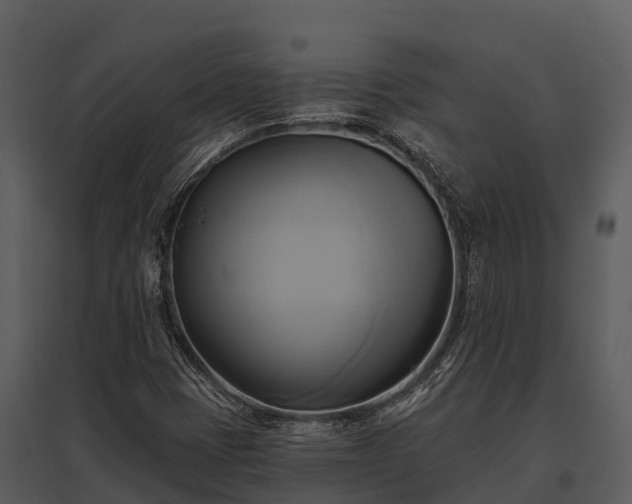 X0000095681401200801151115