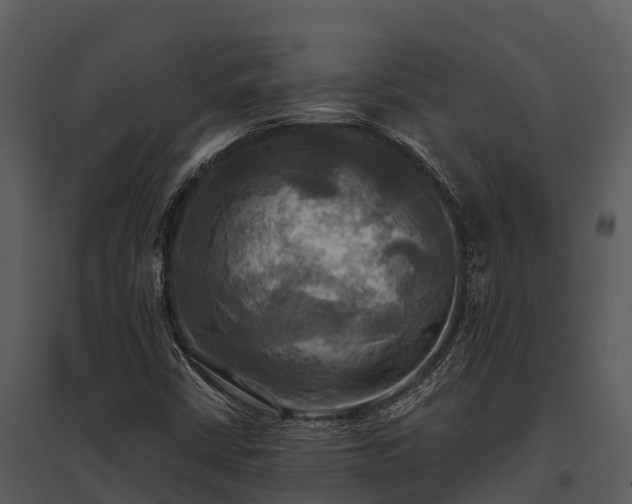 X0000095681402200801151115