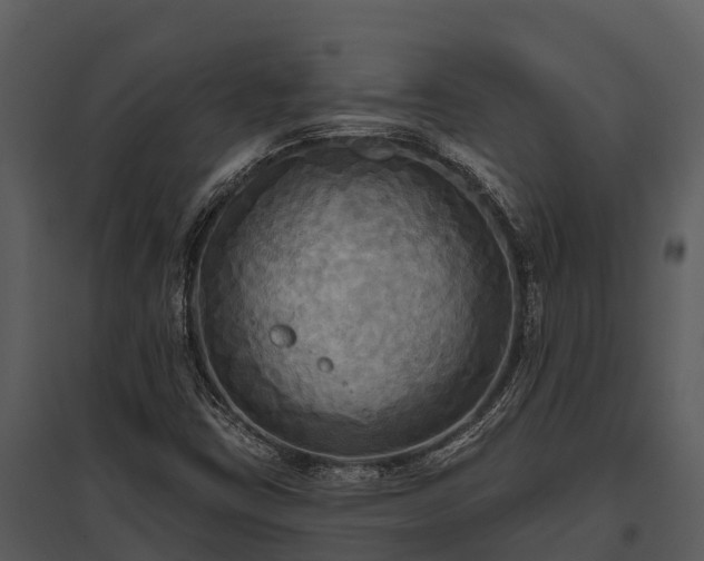 X0000095681403200801151115