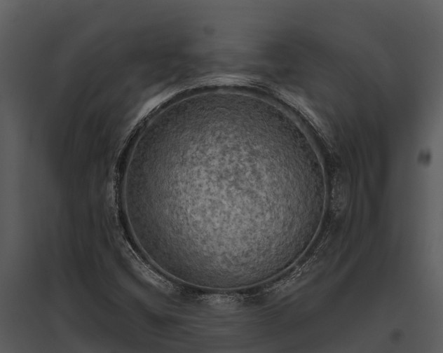 X0000095681404200801151115