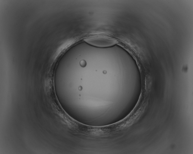 X0000095681405200801151115