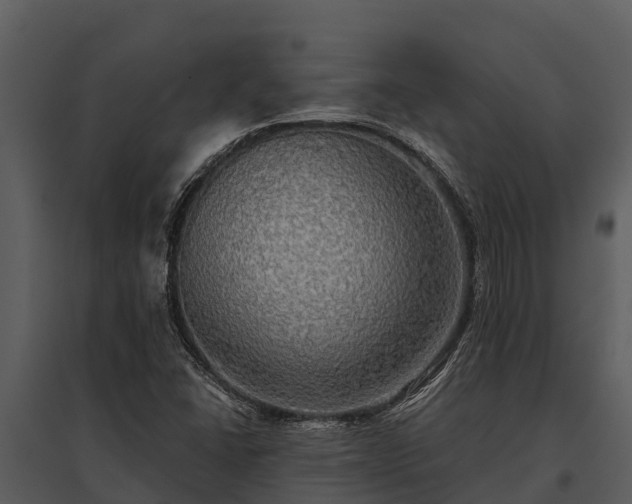 X0000095681406200801151115