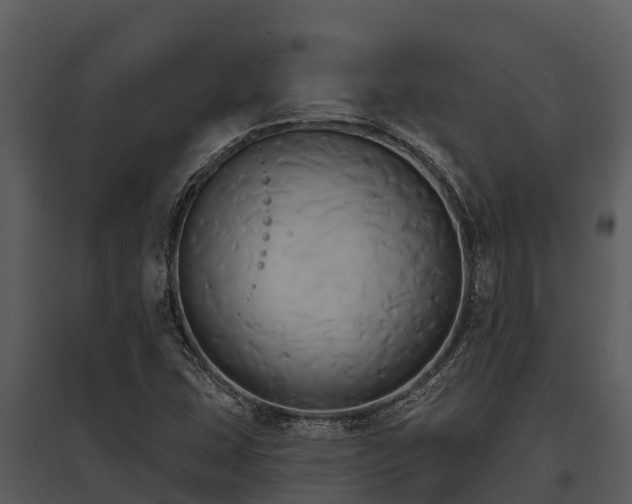 X0000095681407200801151115