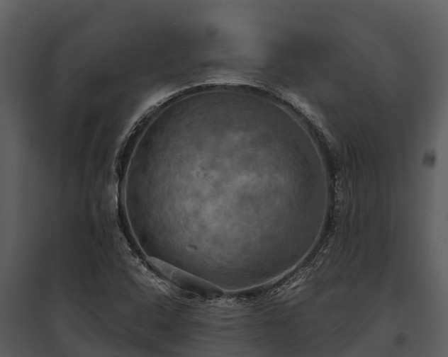 X0000095681408200801151115