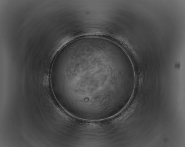 X0000095681409200801151115