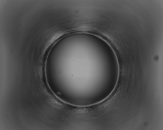 X0000095681410200801151115
