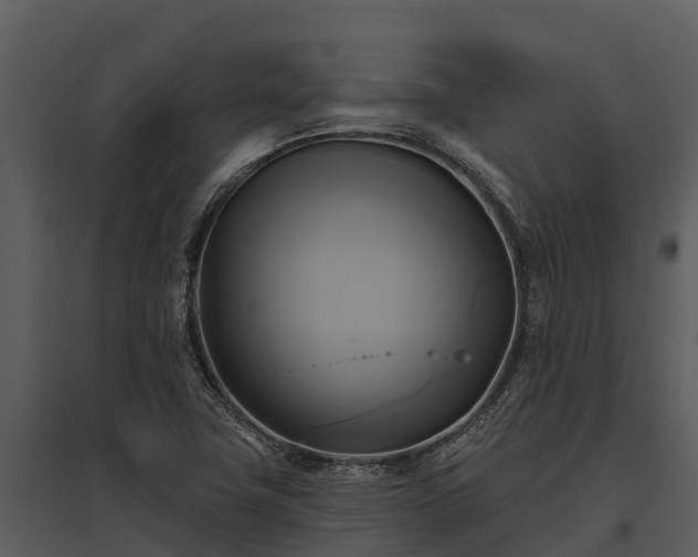 X0000095681411200801151115