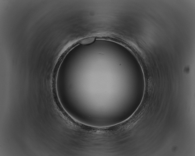 X0000095681412200801151115