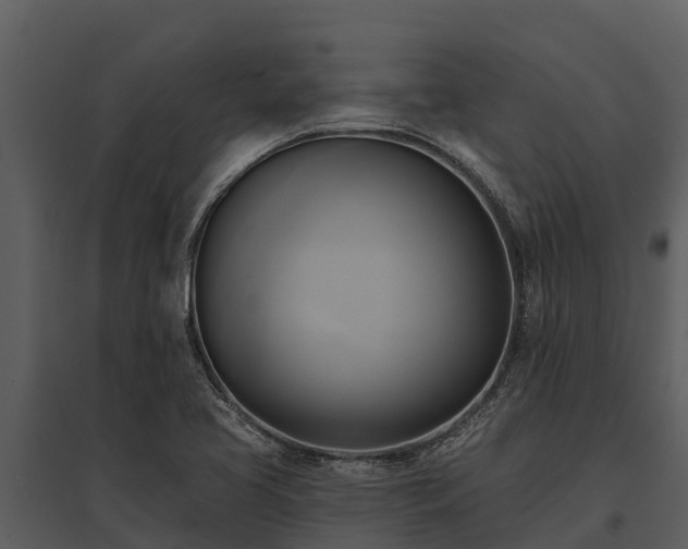 X0000095681413200801151116