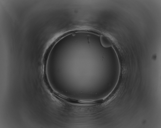 X0000095681414200801151116