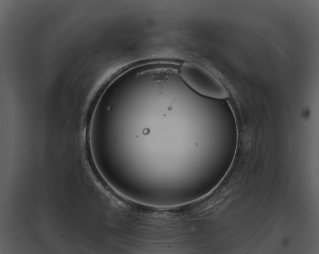 X0000095681416200801151116